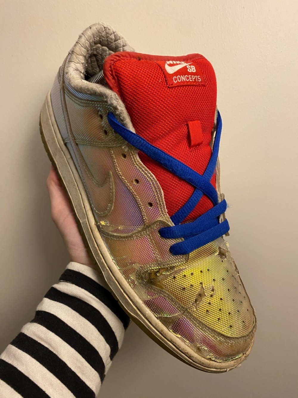 Nike SB Concepts Holy Grail READ